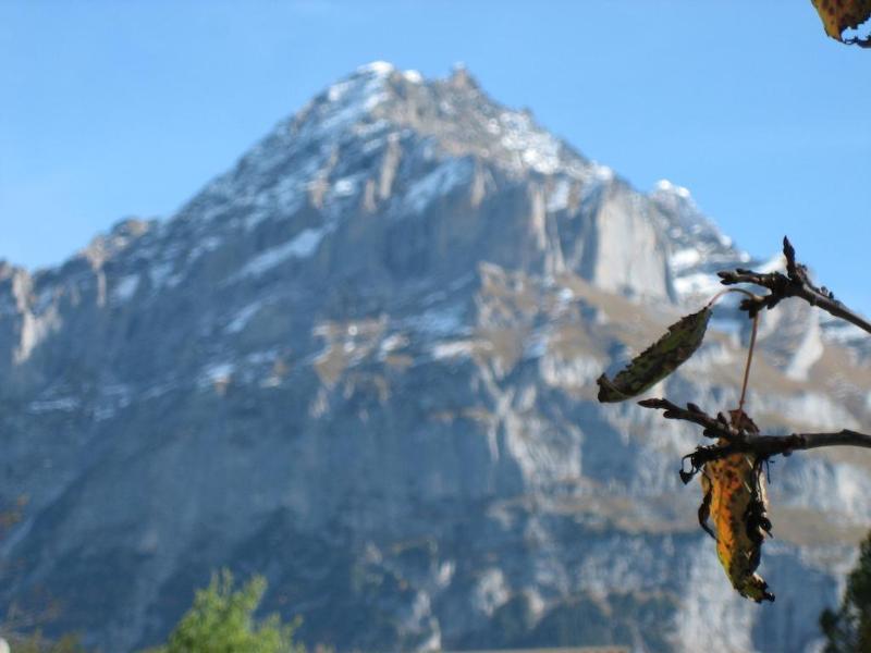Hotel Gletschertal Grindelwald Extérieur photo
